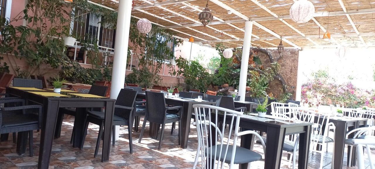 Hotel Banana House Tamri Zewnętrze zdjęcie